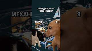 Чи хтось так косячив? 😁 #existua #funny #funnyvideos #shorts #automobile