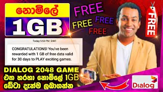 නොමිලේ 1GB DATA DIALOG 2048 Game එක හරහා දැන්ම ලබාගන්න  FREE DATA SINHALA DIALOG MEGAPLAY SRILANKA