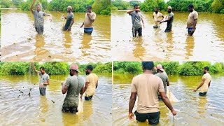 අලුත් වතුරෙ අල්ලපු වැව් මාළු ගොඩ😱🐬 Amazing!!!village live net fishing video / good job 🐬