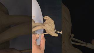 making a ostrich with clay#ostrich#youtubeshorts#shorts#viral#trending