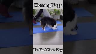 Morning Yoga Routine for a Healthier You | Diva Health 365 #shorts