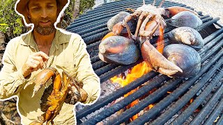 Catch and cook from the mangroves | Barramundi, MUD CRAB and Mud Shell