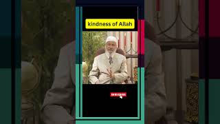 kindness of Allah  #IslamicTeachings #Quran #motivation #allah #kindness allah's forgiveness