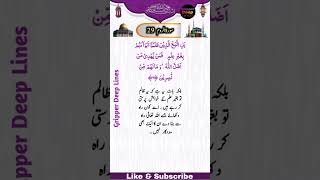 Surah e Room Ayat  No 29سورۃ الروم آیت نمبر  29#shorts #shortsvideo #short #islamic