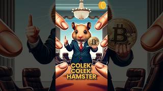 Cara Cairin Hamster Kombat ke E-Wallet #prank #short #coinvestasi