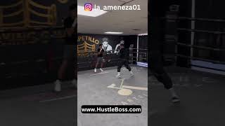 Canelo Alvarez Mentoring Amateur Dylan “La Amenaza” Capetillo Days Before Jermell Charlo Clash