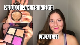 Project Pan: 18 in 2018- Update #1