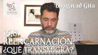 BHAGAVAD GITA 15.8 | Reencarnación: ¿qué transmigra? (capítulo 15, verso 8) [español]