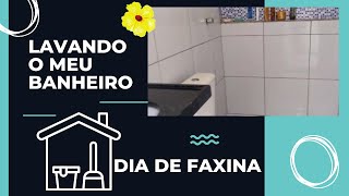 COMO EU LAVO MEU BANHEIRO - DIA DE FAXINA