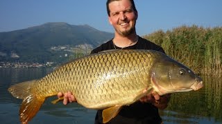 Kaprařina 2016 - sestřih celé sezóny  --- Carpfishing 2016