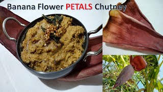 Banana Flower Petals Chutney in Tamil (English Subtitle) |  வாழைப்பூ இதழ் சட்னி | Valaipoo Chutney