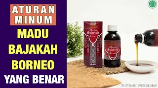 Aturan Minum Madu Bajakah Borneo Yang Benar