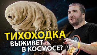 Чего боится даже тихоходка? Ученые против мифов 20-6 | Денис Туманов