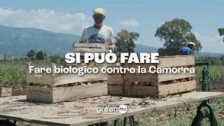 Fare biologico contro la camorra: si può fare!