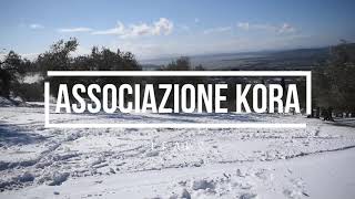 Kora's Leak - Snowboarding among olive trees