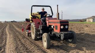 Planting garlic for 2021 Farm Share CSA