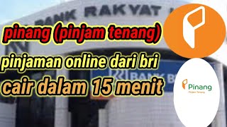 pinang, pinjaman tenang dari bri bisa cair dalam 15 menit