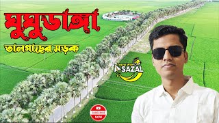 বাংলাদেশের দীর্ঘতম তাল গাছের সড়ক🇧🇩Ghughudanga🌴Beautiful Palm Tree Road in🌴ঘুঘুডাঙ্গা তাল সম্রাজ্য🔥