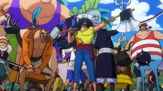 Roger Pirates fights Whitebeard Pirates | One piece Episode 966