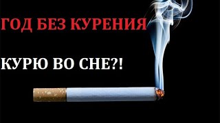 Что происходит с человеком, когда он бросает курить? Год без курения