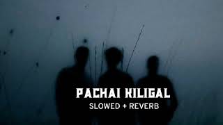 Pachai Kiligal SLOWED + REVERB