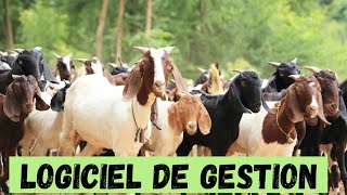 LOGICIEL DE GESTION D'UNE FERME DE CHÈVRES