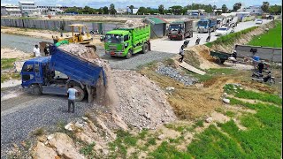 Getting Started New Project 5T Truck Pouring Fillingland,Big Field, Skill Bulldozer D53P Perfectly