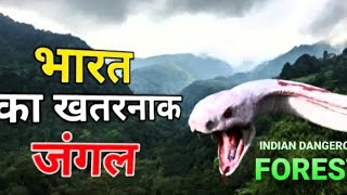 भारतीय 5 खतरनाक जंगल Indian 5 dangerous forests You must know