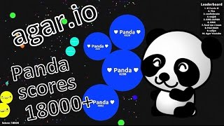 Agar.io - Panda Scores 18000+ (World Record)