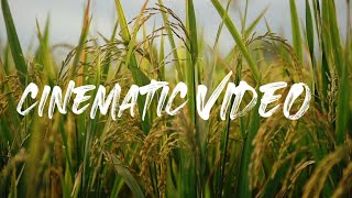 Cinematic Video|By DRAYCHANNEL》Part.1