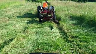 Cutting hay with a sickle mower