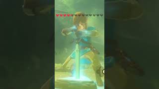 Getting the master sword with 1275 hearts #nintendo #zelda