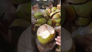 Master of coconut cutting#shorts