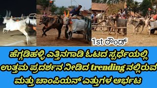 HEGGADIHALLI ETTINAGADI RACE | 1ST ROUND | ಎತ್ತಿನಗಾಡಿ ರೇಸ್ ಹೆಗ್ಗಡಿಹಳ್ಳಿ 2024| Hassan Hallikar Studio