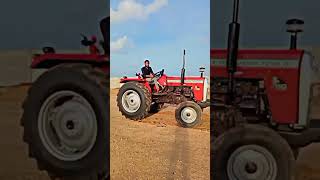 Massey 7250 Lover Massey Ferguson 7250  #masseyferguson #vinodfarming #tractor #massey7250 #shorts