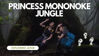 Hiking the Princess Mononoke Jungle in Real Life - Shirakawa Unsuikyo, Yakushima