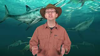 Paleontology: Ancient Marine Reptiles - Learn Basic Science