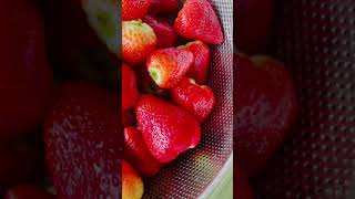 One of the most delicious strawberries I’ve ever ate strawberries 🍓 yummy 😋 super delicious 🤤