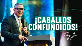 ¡Caballos confundidos! - Pastor Toby Jr.