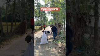 কিসে হাত দিল দেখুন #musicvideo #funnyshorts