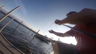 Chautauqua Lake Bass Fishing