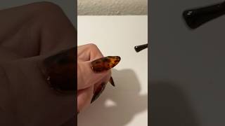 Tortoise shell nails // Born Pretty jelly gel polish nail art