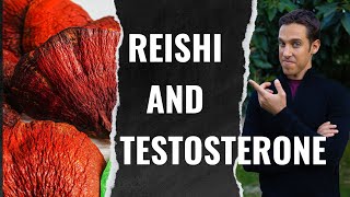 Does Reishi Mushroom Increase or Decrease Testosterone?