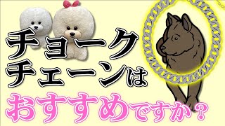 【犬のしつけ】チョークチェーンについて【悩み相談ライブ切り抜き】