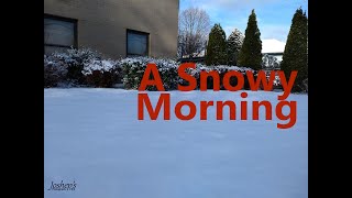 A Snowy Morning, Long Island, New York