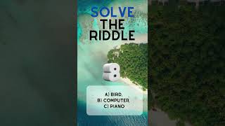 "Riddle Realm: Puzzles, Brain Teasers, and Enigmas"