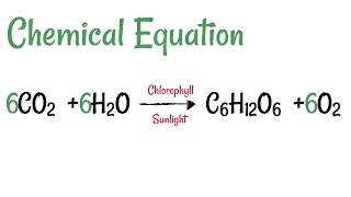 Photosynthesis