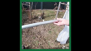 Entlaufenes Kaninchen eingefangen - Kärntner Tierrettung im Einsatz #2 TiKo