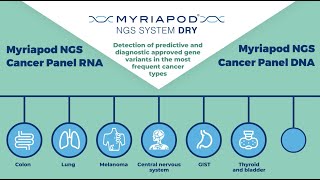 Introducing Myriapod NGS Line dry system