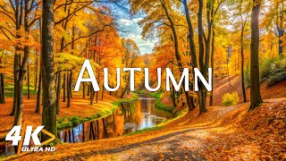 3 HOURS of 4K Enchanting Autumn Nature Scenes + Relaxing Piano Music for Stress Relief